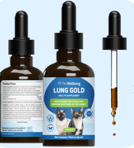 scrnli_24O6dbe2wv2V3r