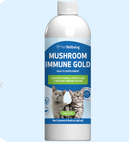 scrnli_LIlgVpONmqGPSX