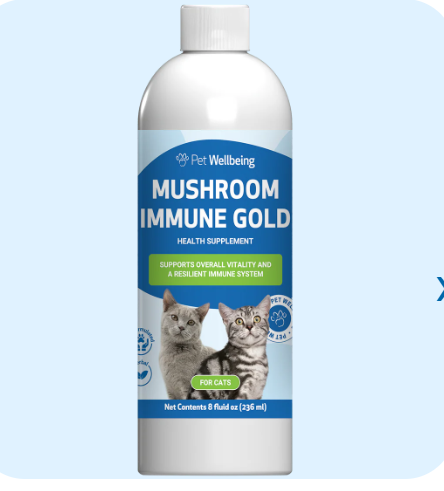 scrnli_dKD09j4hKN6ijZ